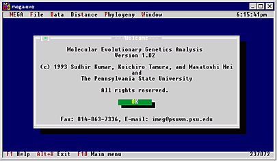 First Choice Dos Program Download