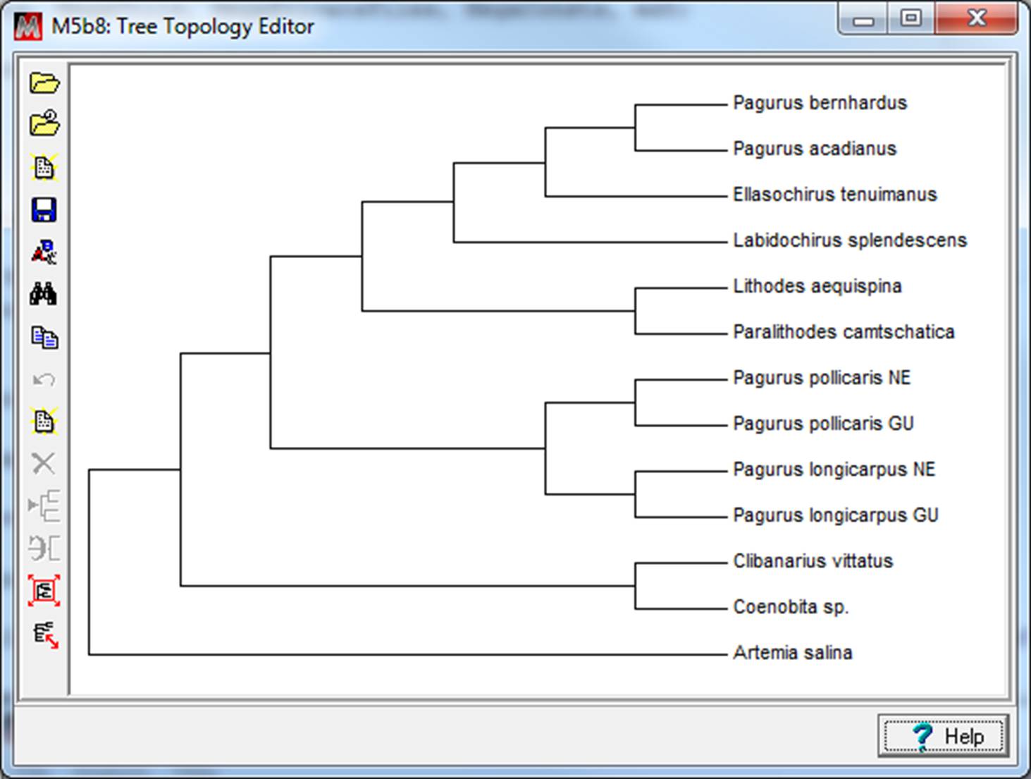 How To Draw Phylogenetic Tree Using Mega Shaking Drawing